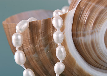 Süßwasser Zucht-Perlen-Kette ca. 150cm -weiß-