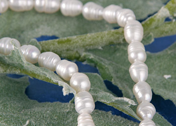 Süßwasser Zucht-Perlen-Strang offen -weiß p050-
