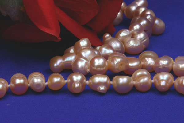 Echte Zucht-Perlenkette reisförmig rose UVP99€ NEU